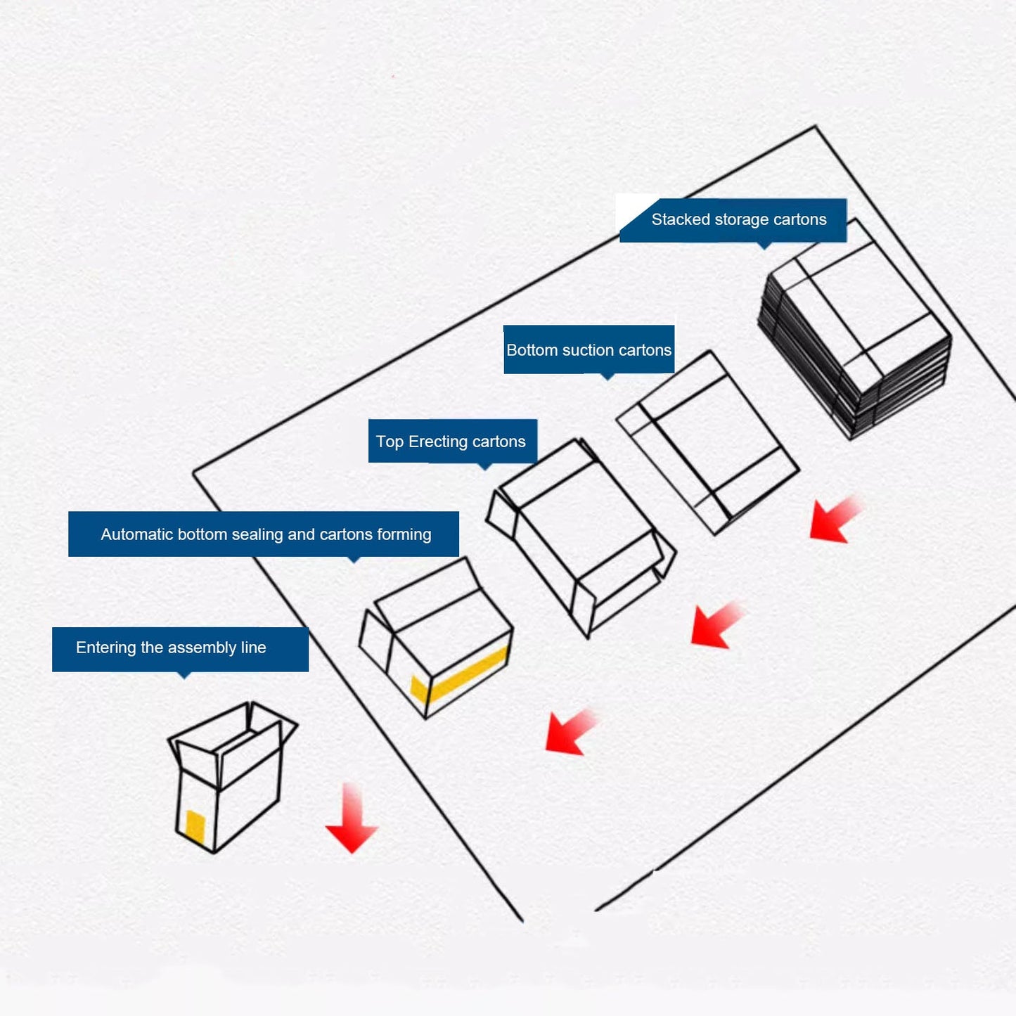 Zonesun ZS-CSPM3 Carton Erector Workflow